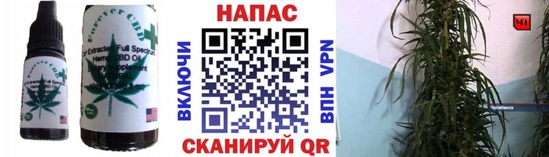 Canna-Cookies марихуана  цены   Городовиковск 