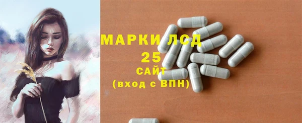 спайс Баксан