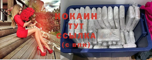 спайс Баксан