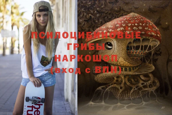 спайс Баксан