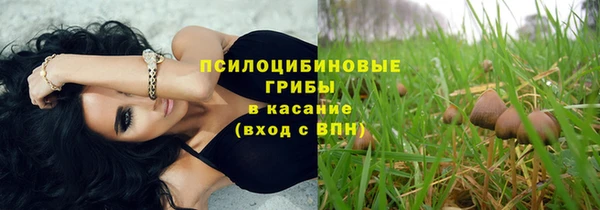 спайс Баксан