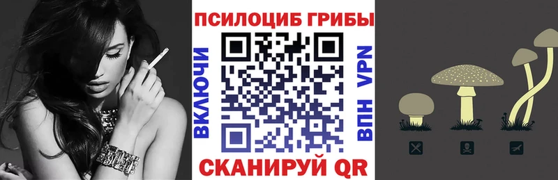 как найти наркотики  Городовиковск  Псилоцибиновые грибы Cubensis 